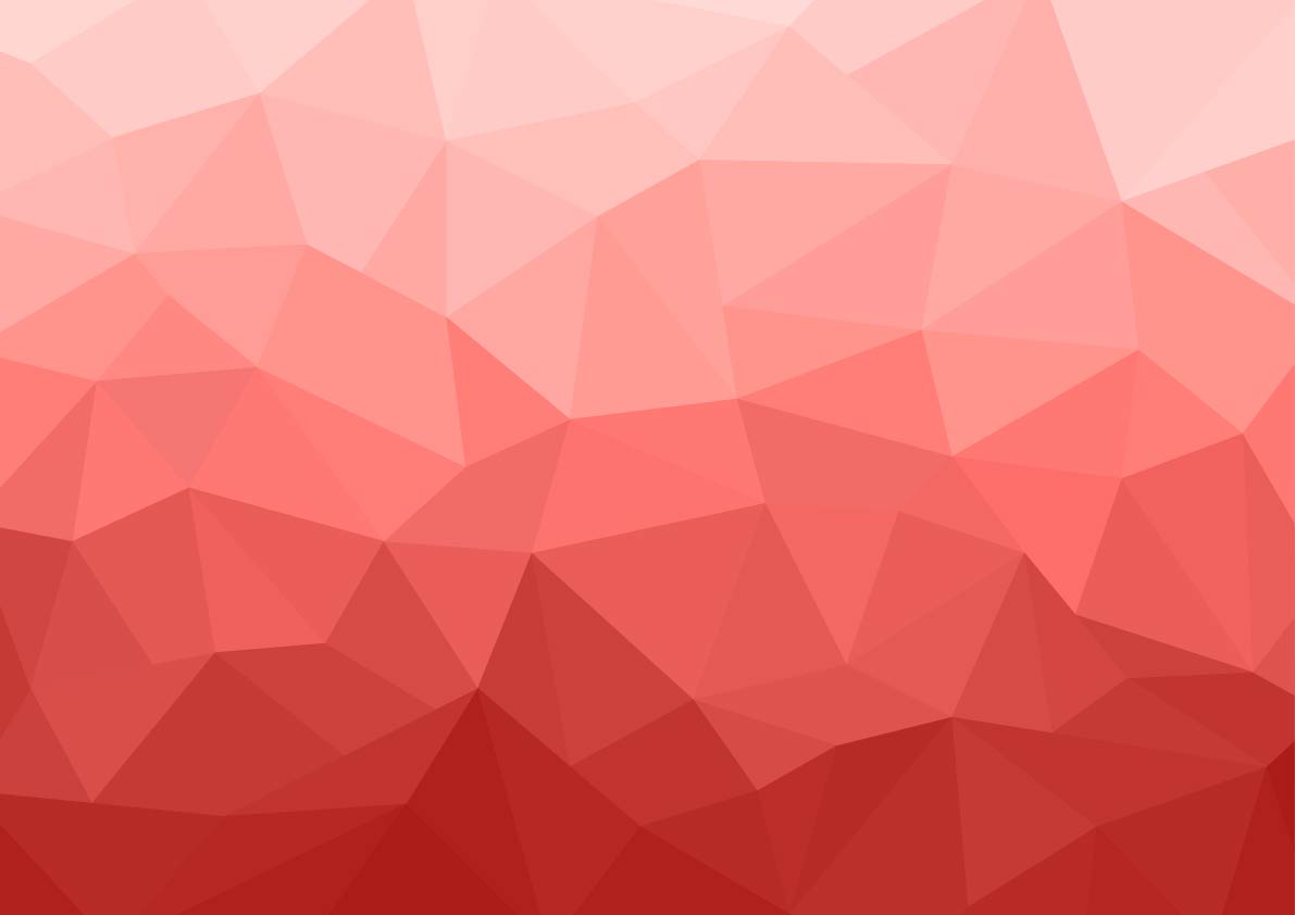 INFRA INFOTECH PVT LTD.